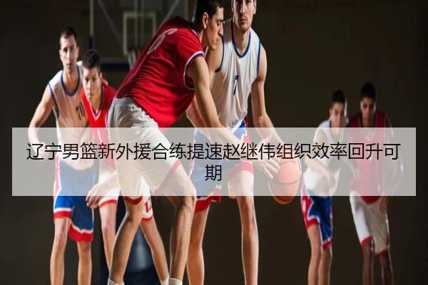 辽宁男篮新外援合练提速赵继伟组织效率回升可期