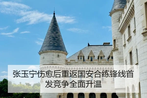 张玉宁伤愈后重返国安合练锋线首发竞争全面升温